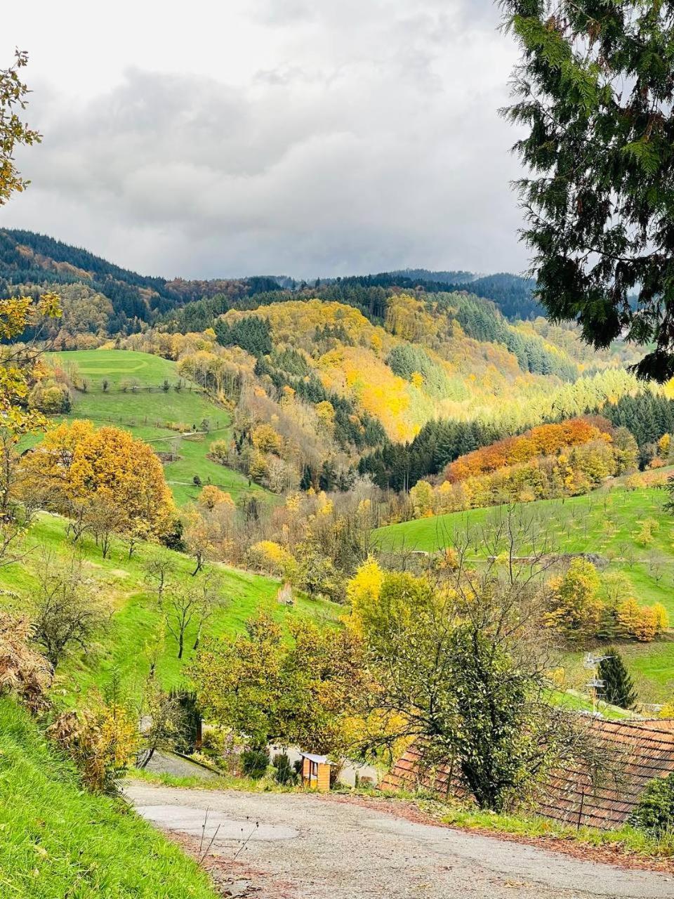Einzigartiges Apartment, Mitten In Der Natur Ottenhofen im Schwarzwald Exterior foto